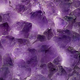 Illustration for article titled How does Purple Urine Bag Syndrome relate to turkey?